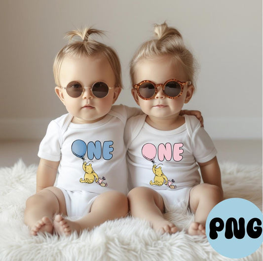 One First Birthday twins blue and Pink Png file, ideal for t-shirt party flavor and party invitations, Pooh png file.