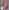 Peach Princess baby  Costume - beecutebaby